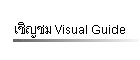 ԭ Visual Guide